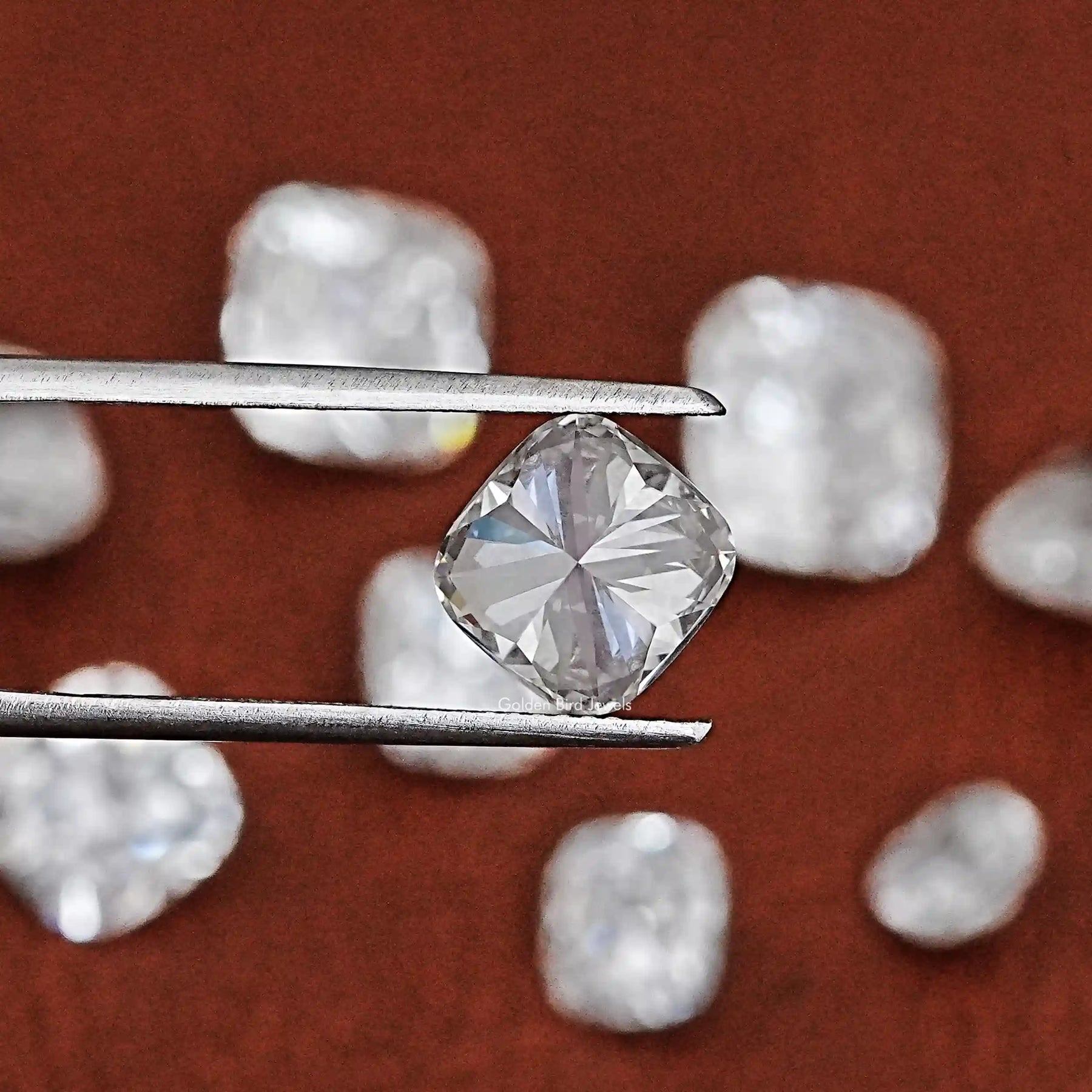 Twijer hold on Lab Grown Cushion Cut Diamond