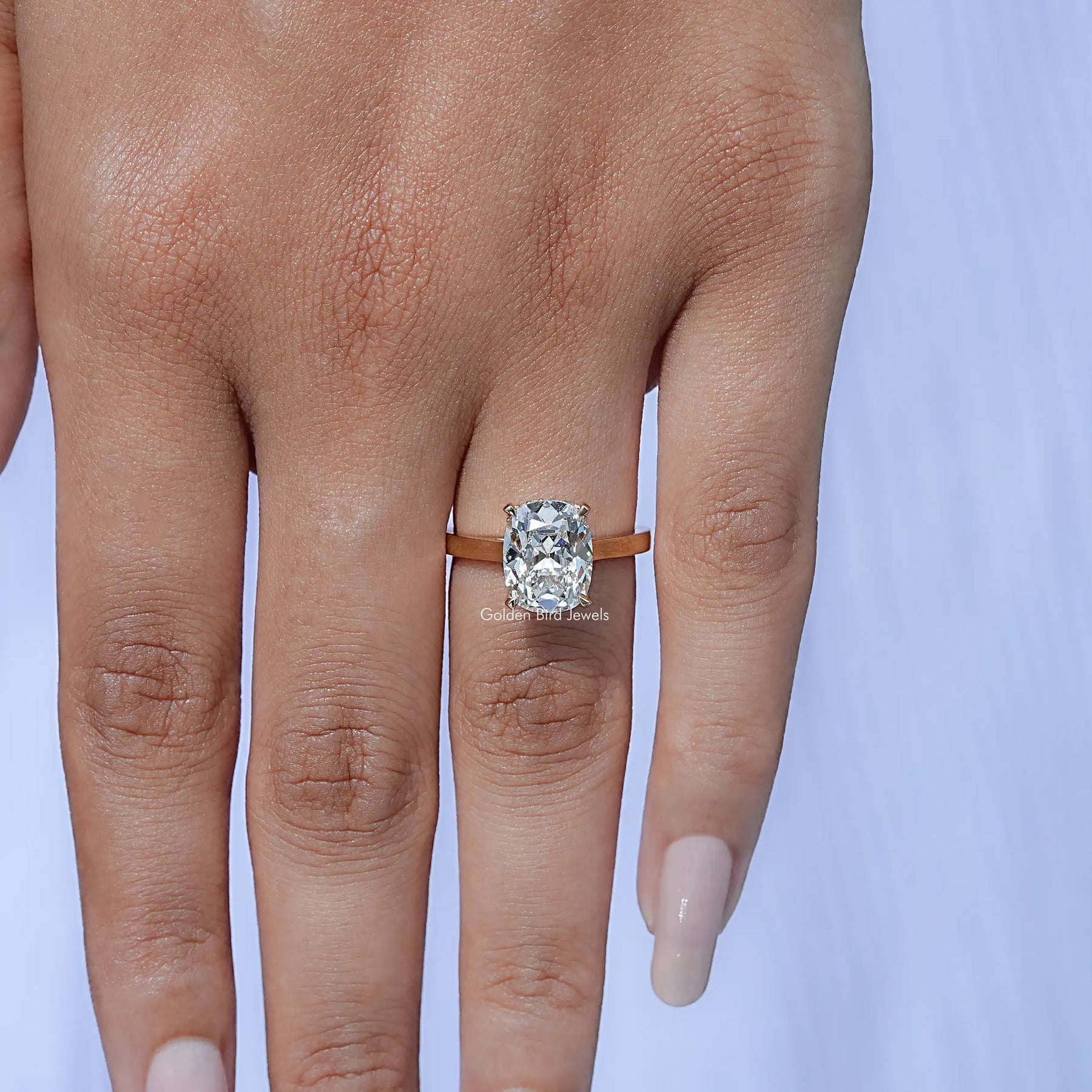 Detailed View of Cushion Cut Diamond Hidden Halo Engagement Ring In White Gold