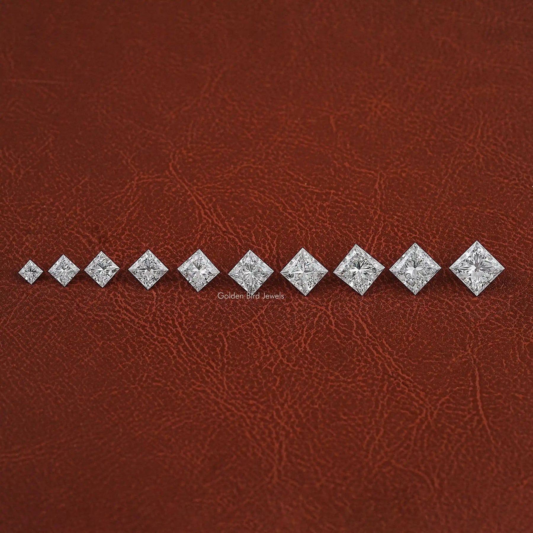 View of Princess Cut Loose Diamond