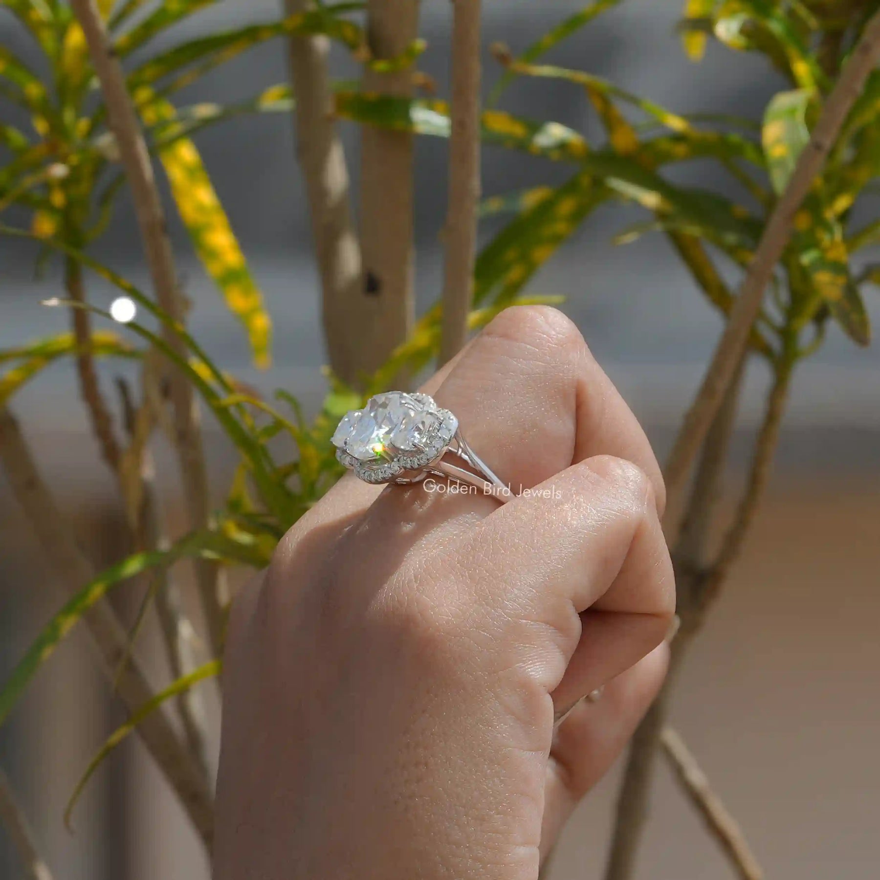 Close-Up View of Old Mine Cushion Cut Moissanite Ring In White Gold