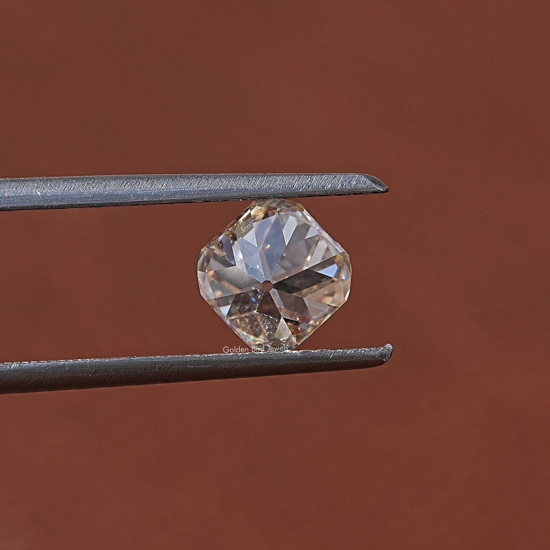 Twijer holding in the Old Mine Cushion Cut Loose Moissanite