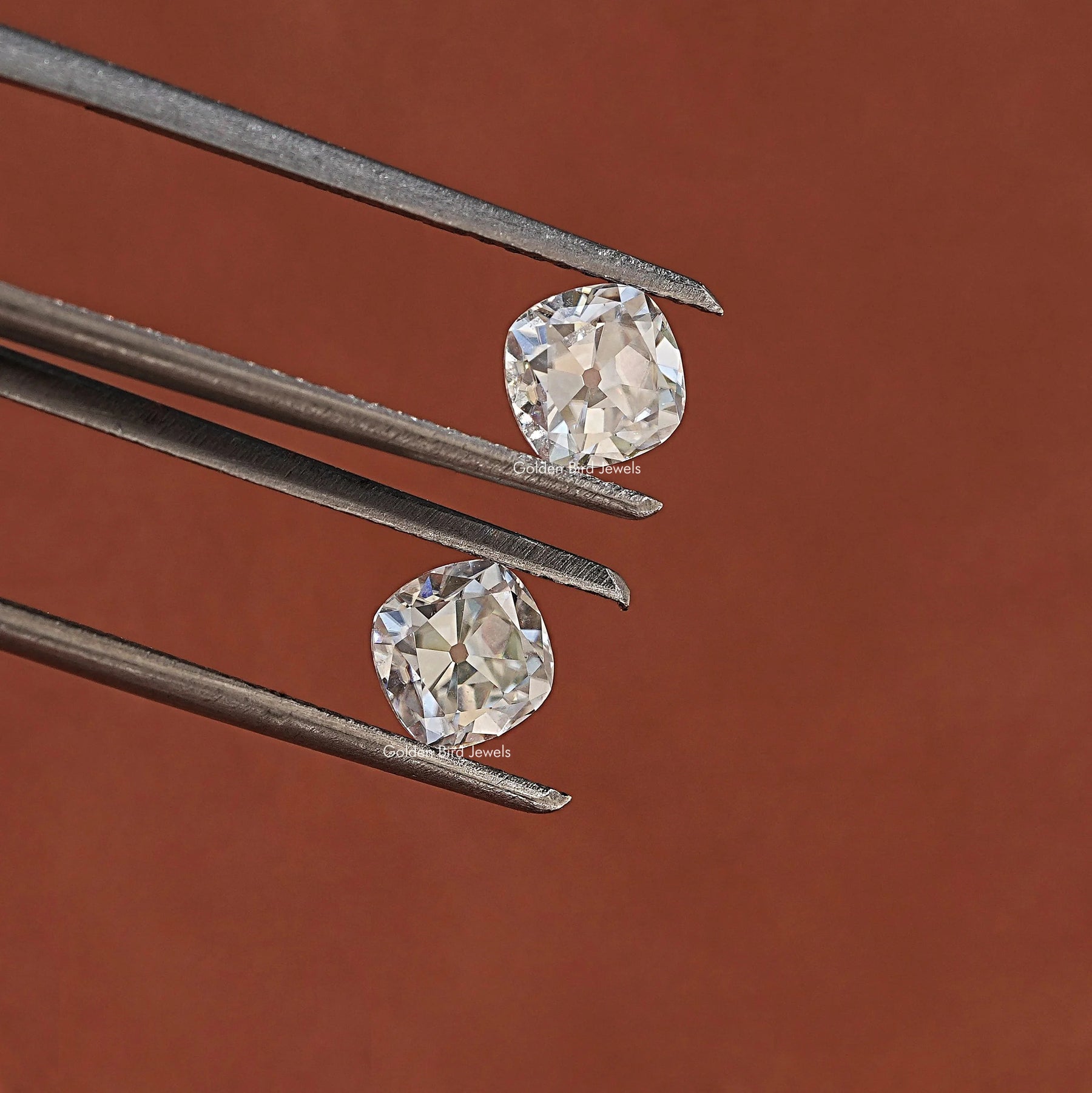 In Tweezer View Of Moissanite Cushion Shaped Loose