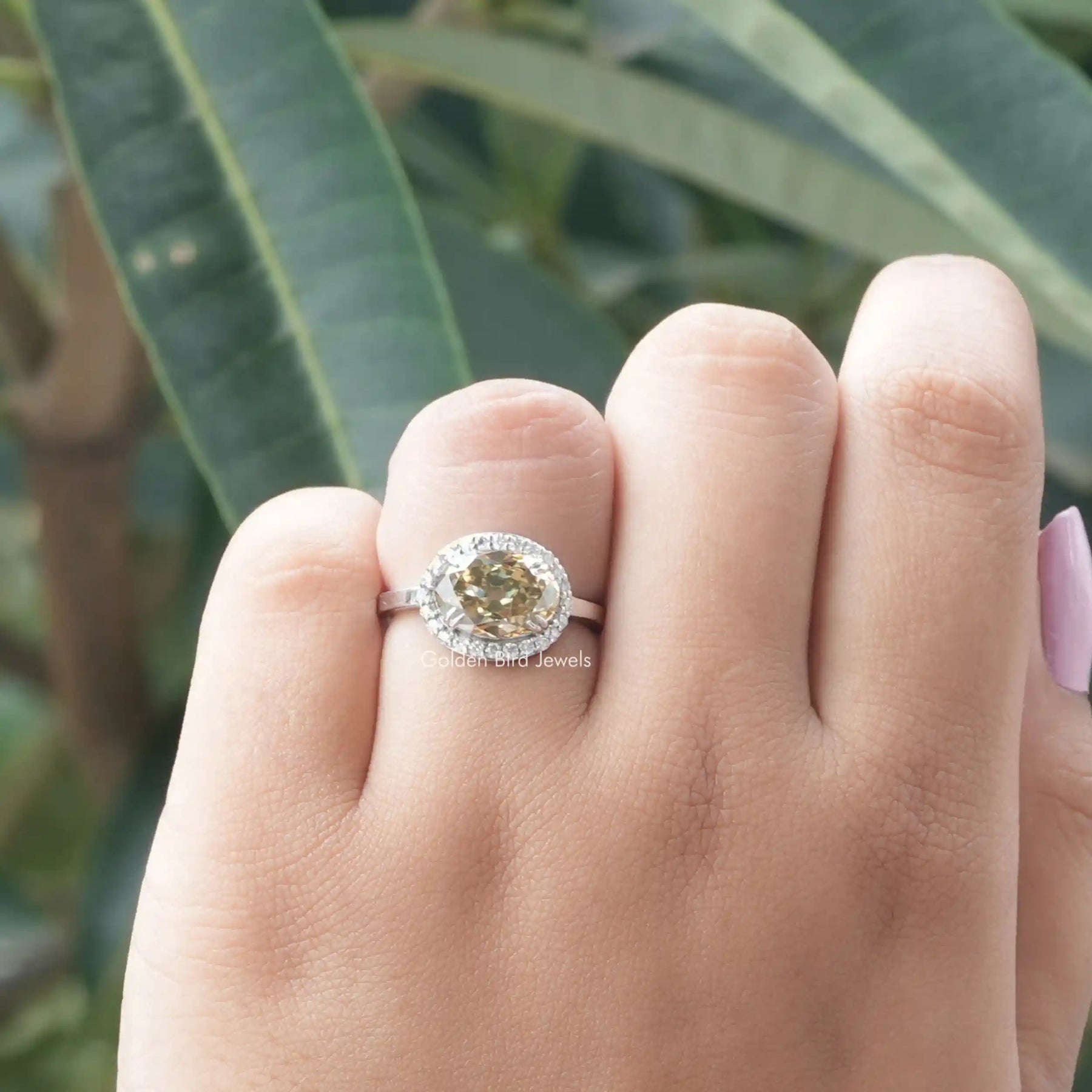 Close-Up View of Oval Cut Moissanite Ring Crafted With Round Stones In White Gold