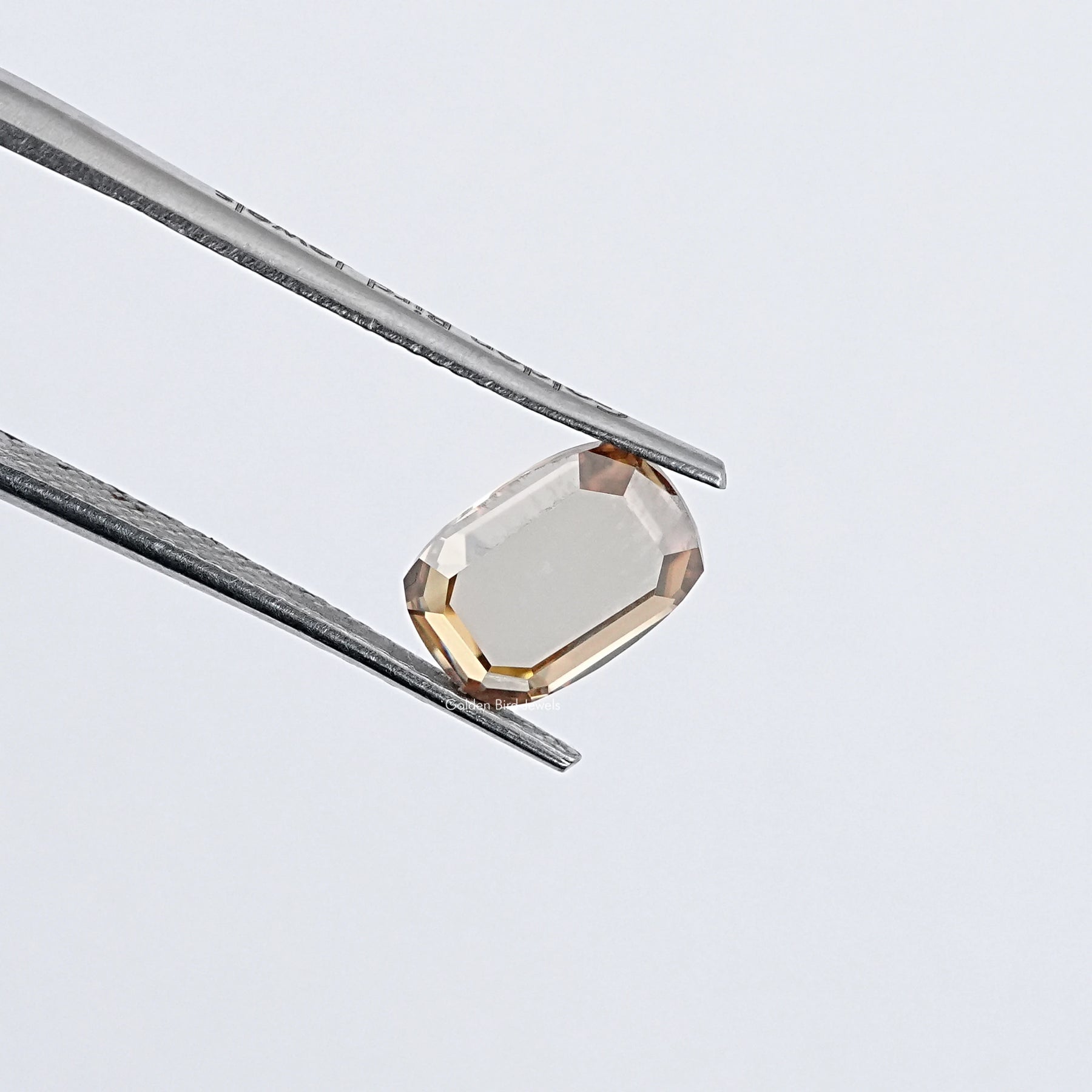 In Tweezer View Of Brown Portrait Cut Cushion Loose