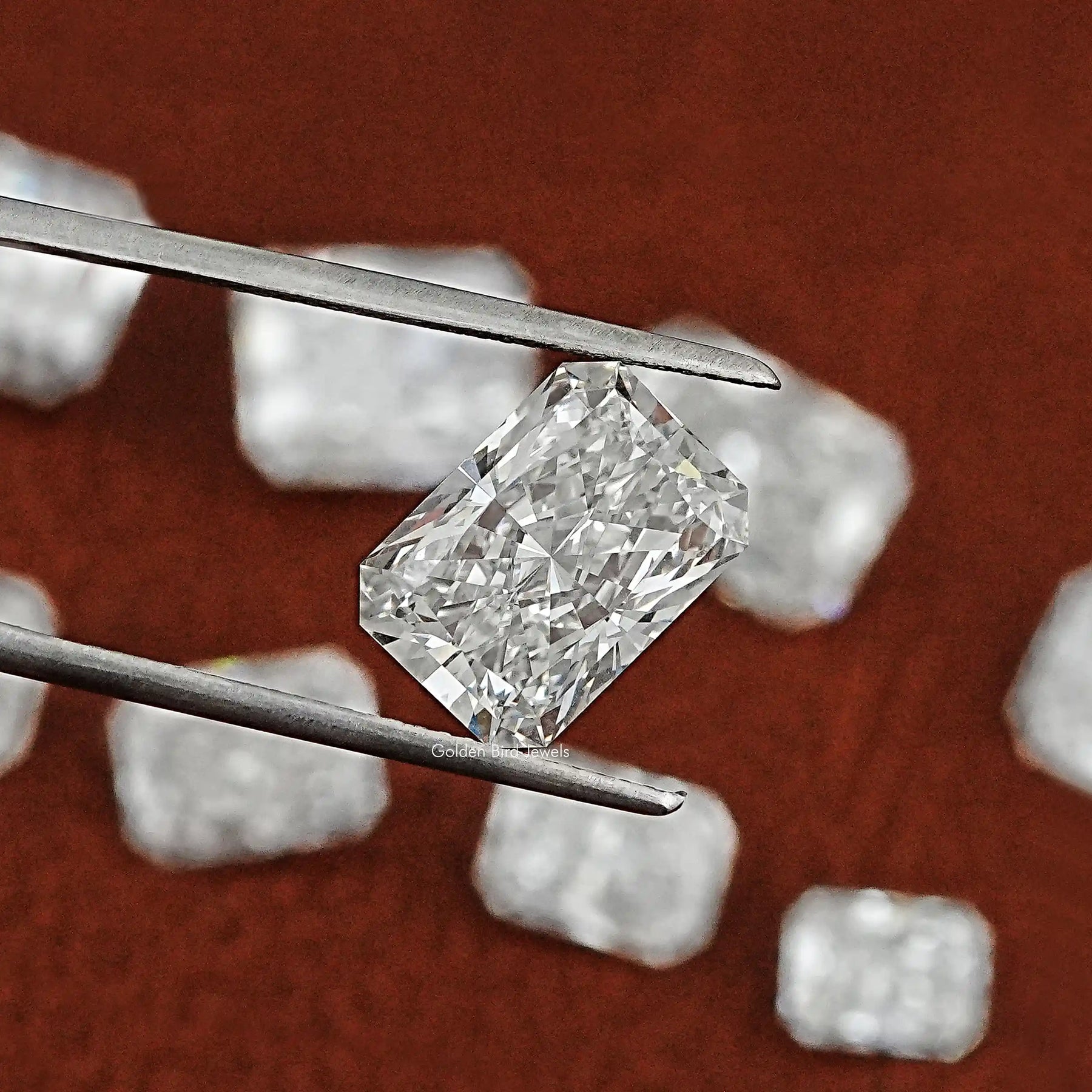 Twijer holding On the Radiant Cut Loose Diamond