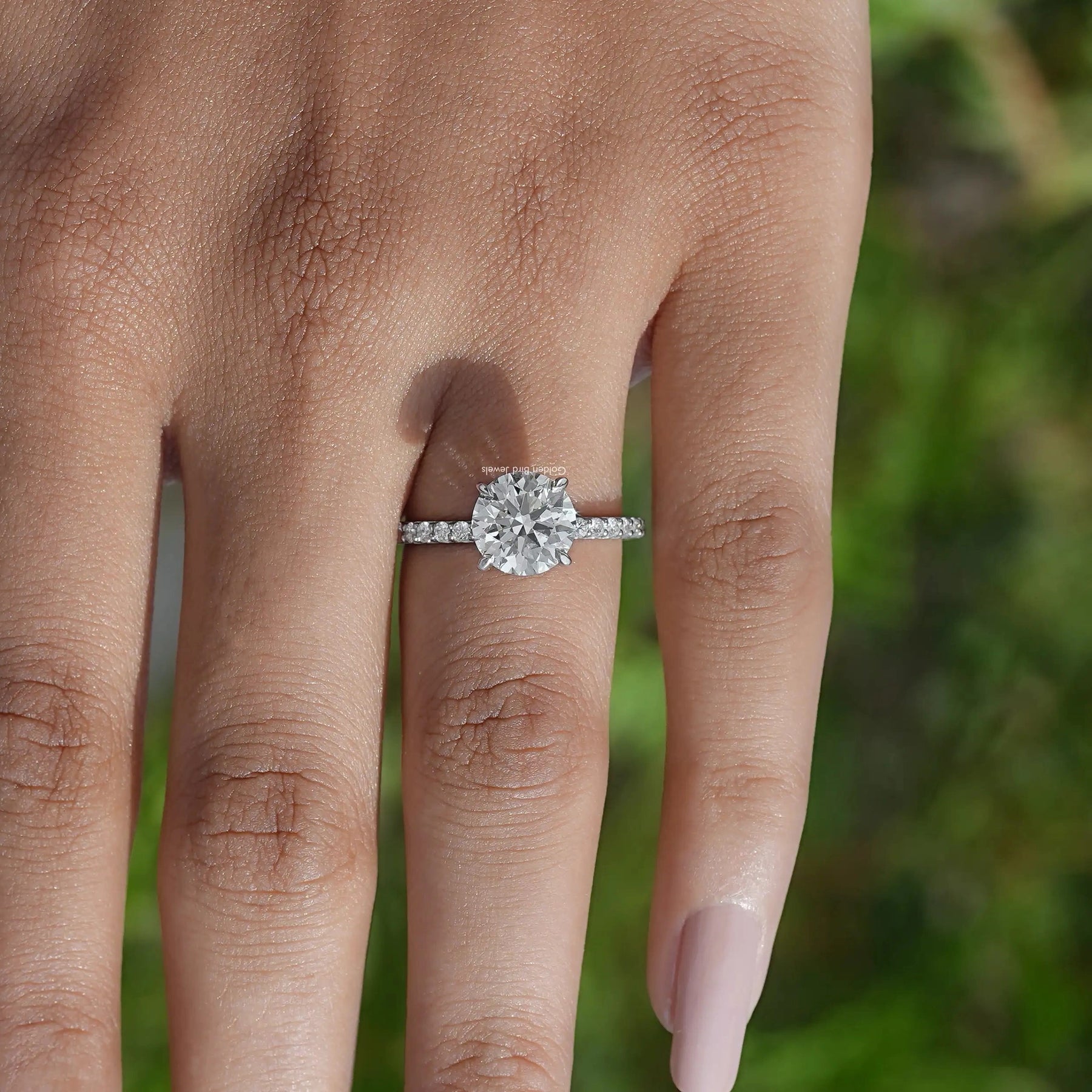 Detailed View Of Round Cut Diamond Solitaire Ring In White Gold
