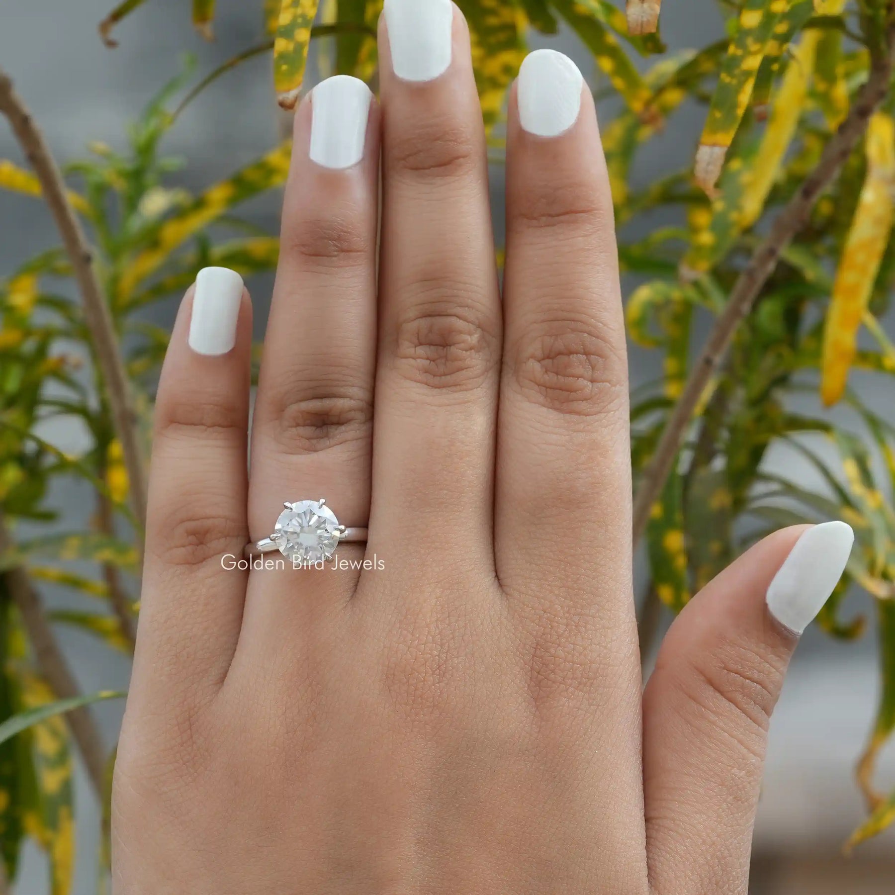 Detailed View of Round Cut Moissanite Solitaire Ring In White Gold