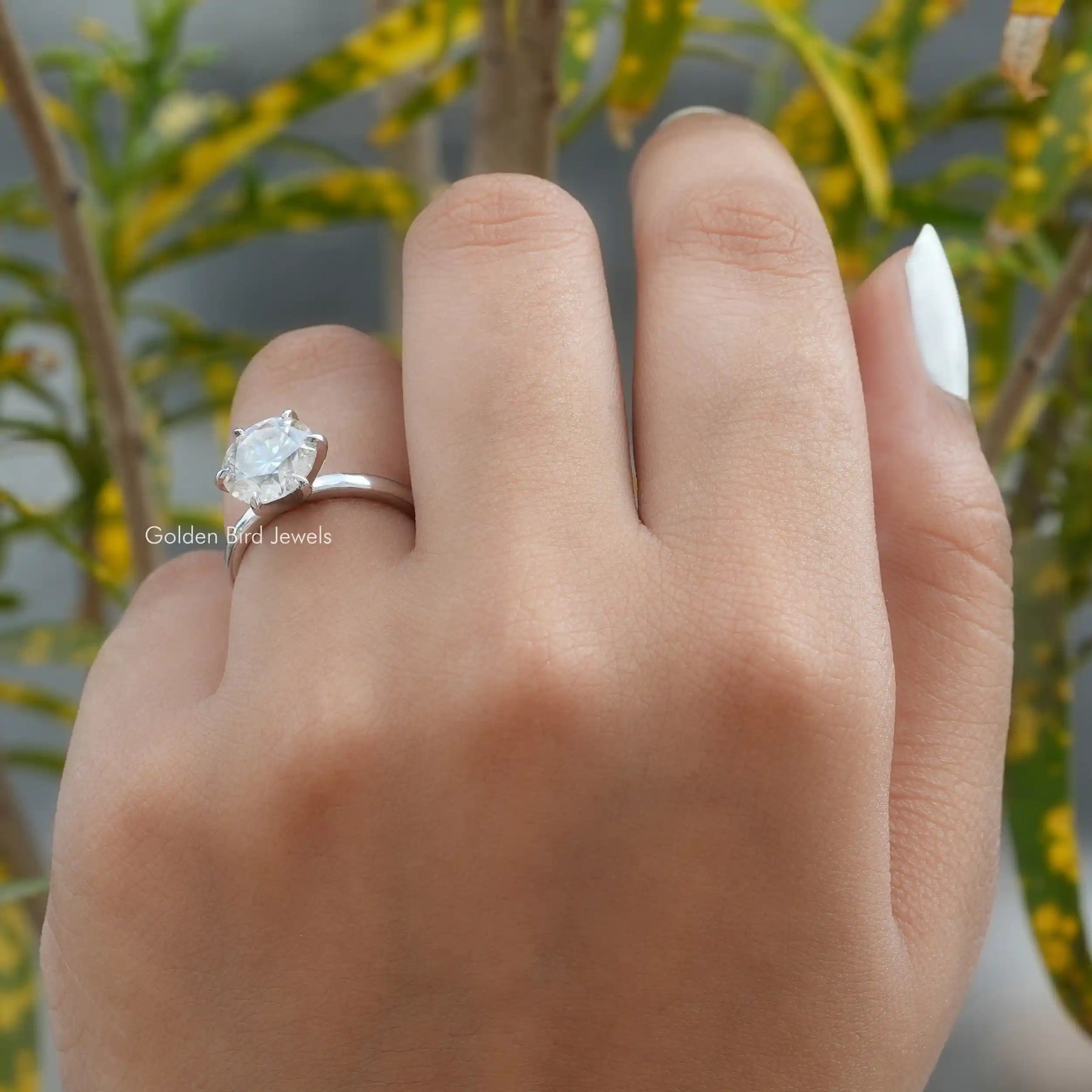 Detailed View of Round Cut Solitaire Ring In White Gold