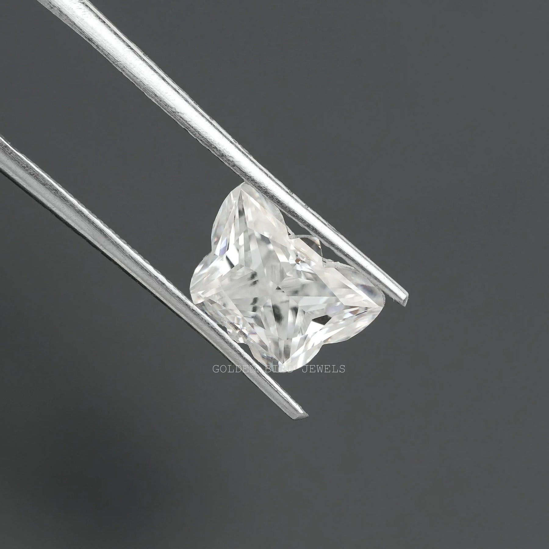 Twijer holding the Butterfly Cut Moissanite Loose Stone In White