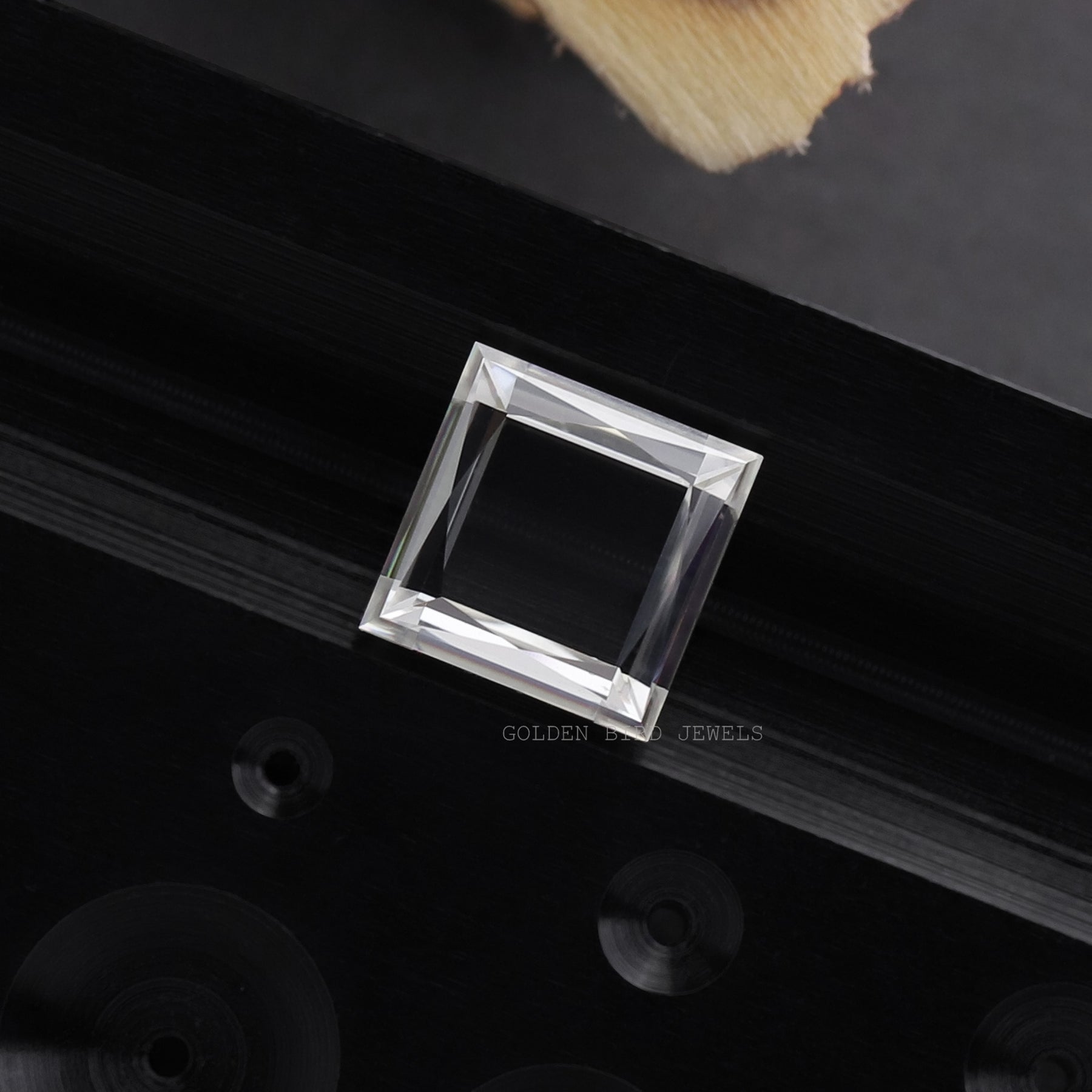Portrait Princess Shaped Loose Moissanite Stone