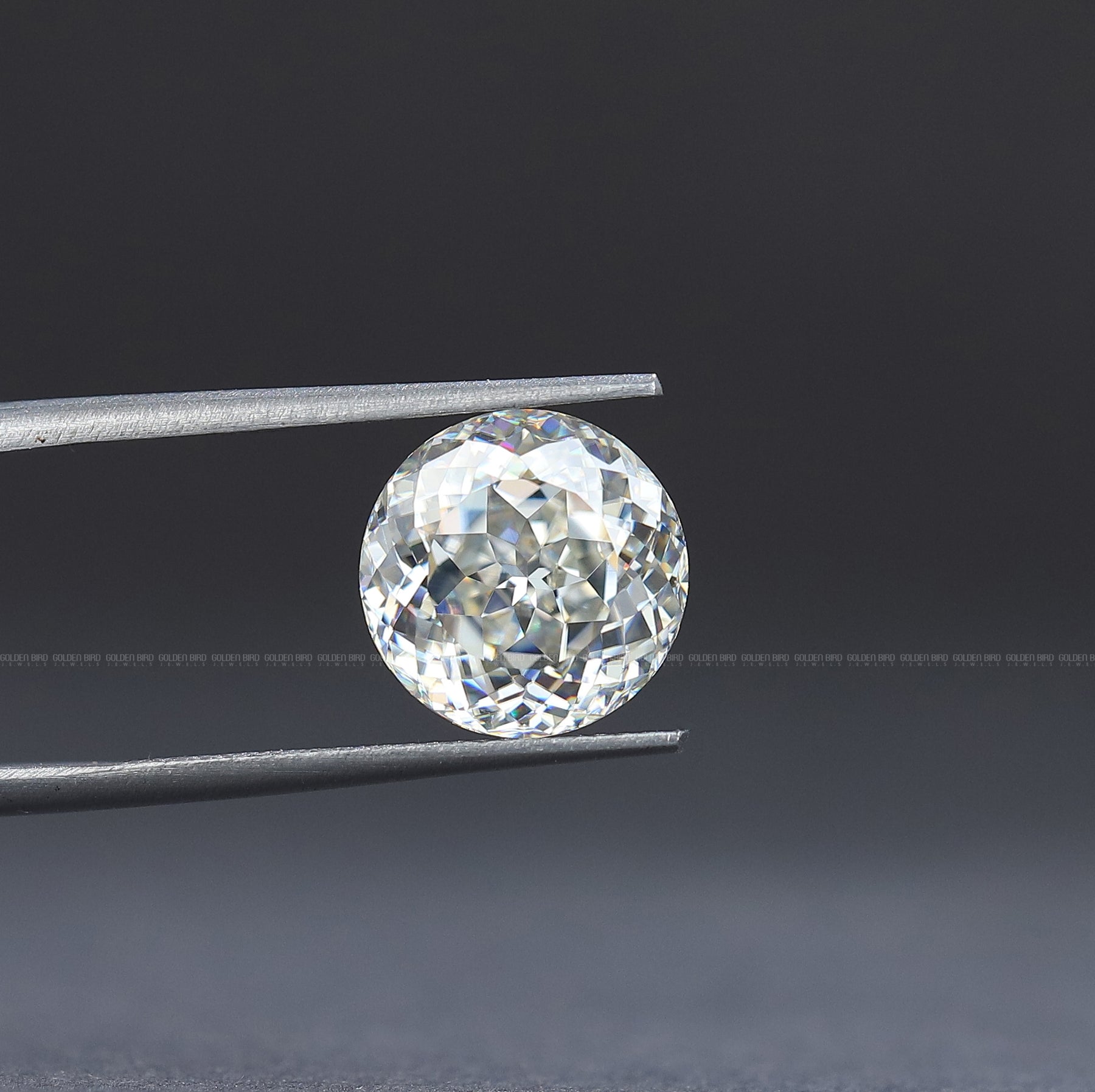 In Tweezer View Of Portuguese Cut Round Loose Moissanite