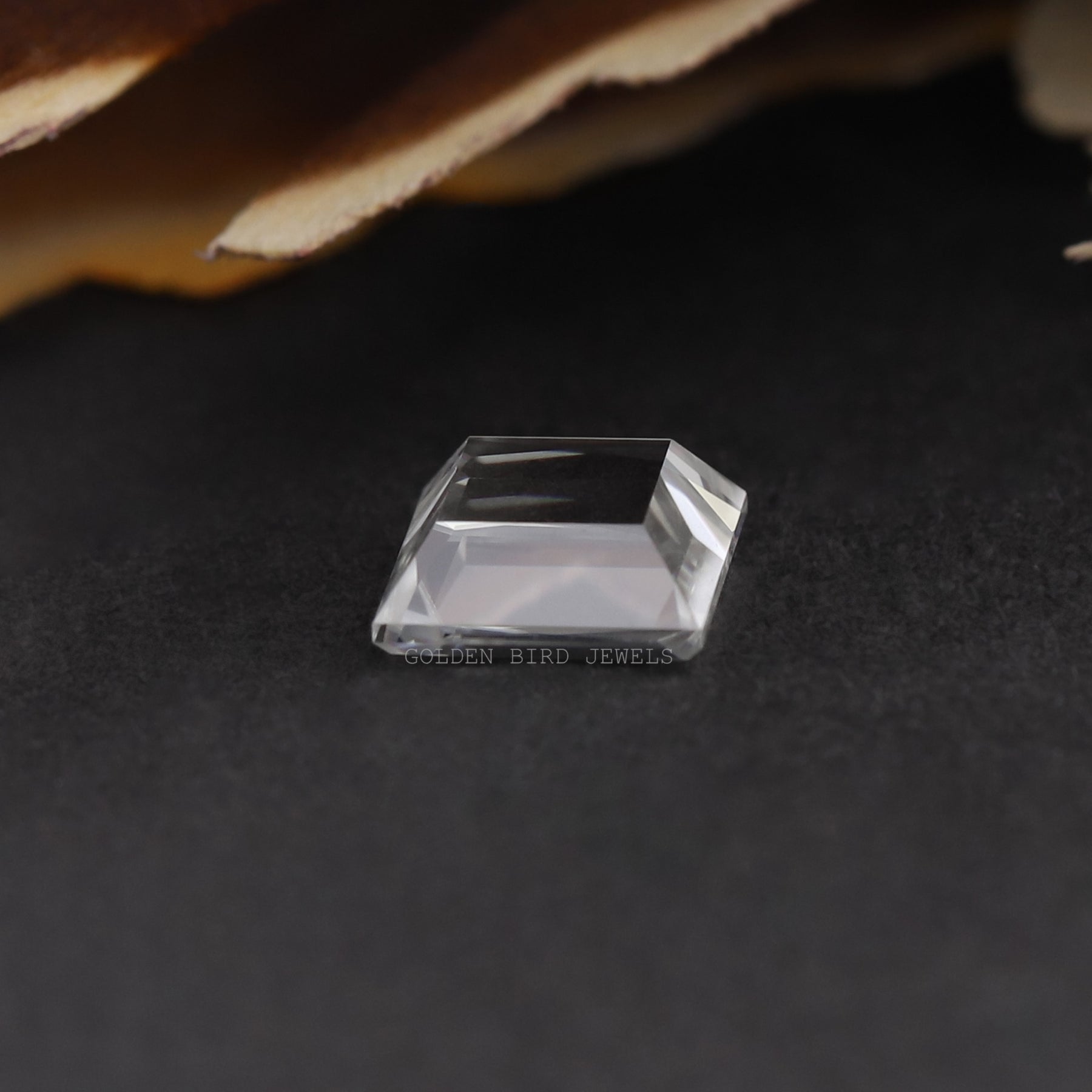 Back View Of Moissanite Princess Cut Loose Stone