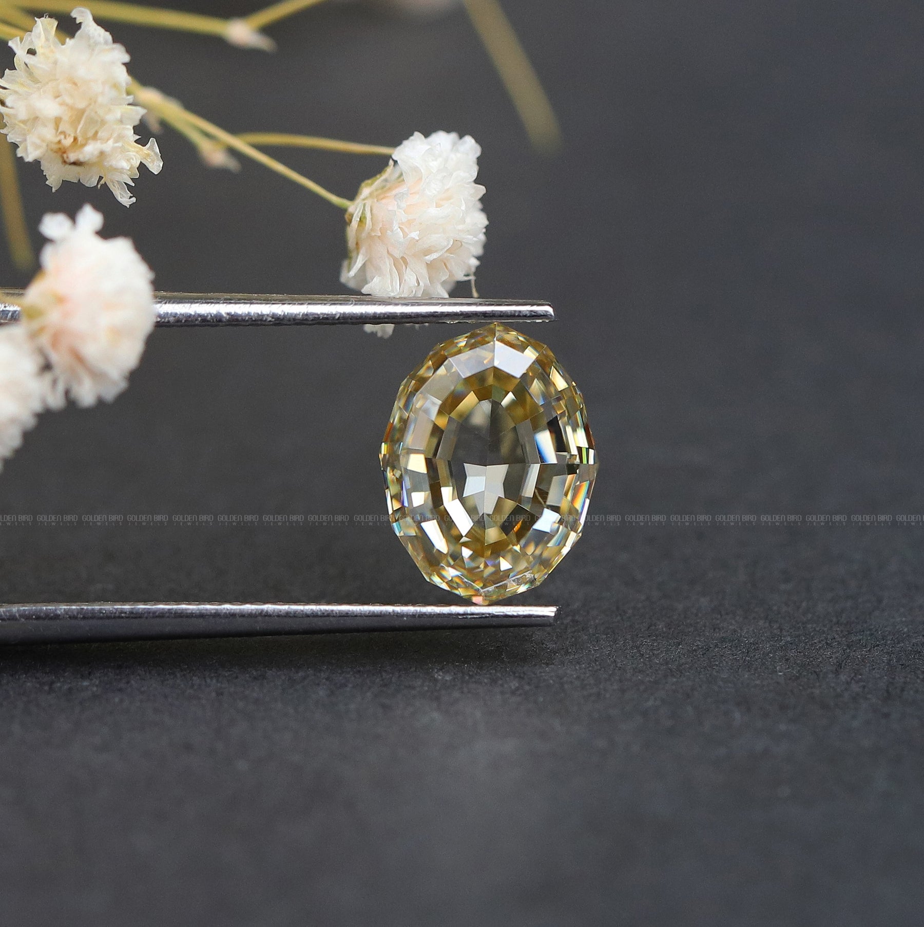 View Of Moissanite Oval Cut Loose Stone