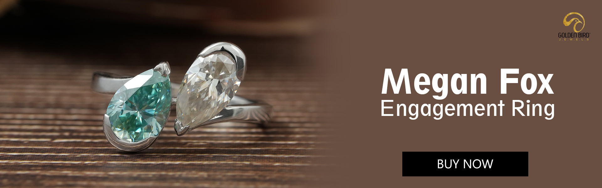 [Megan Fox's $300k valued engagement ring in a two stone style]-[golden bird jewels]