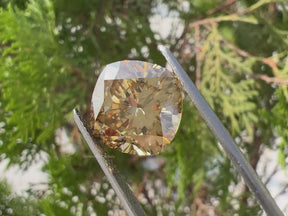 Yellow Cushion Cut Moissanite Loose Stone