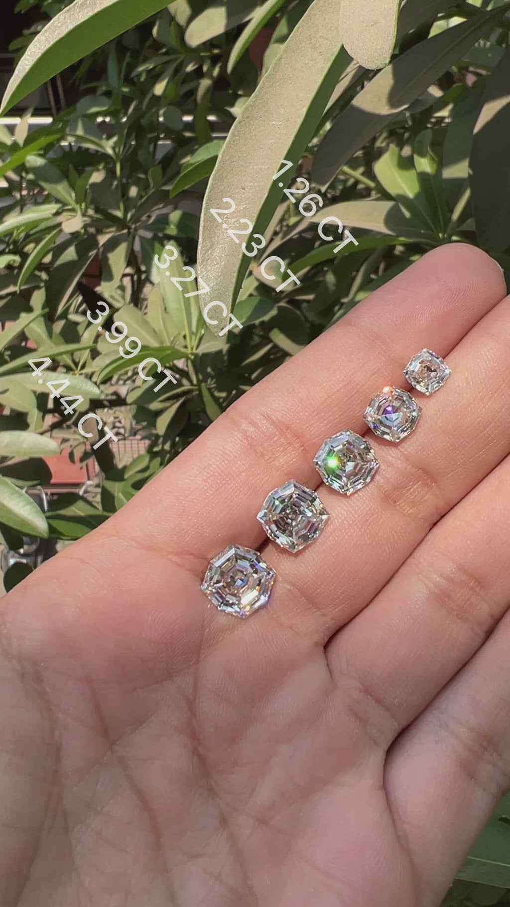 Video Of Step Cut Cushion Loose Moissanite